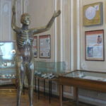 музей гигиены в СПб