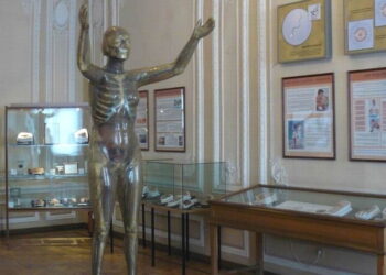 музей гигиены в СПб